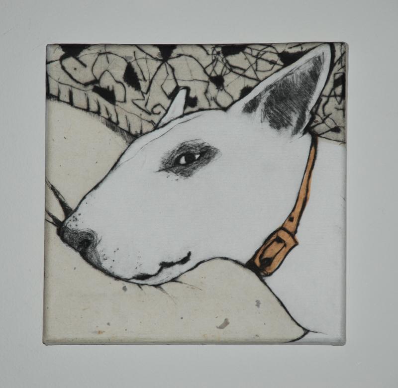 English Bull Terrier
