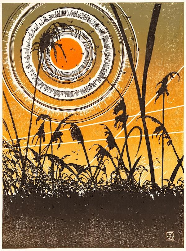 Dawn at Marley Fen, Wytham (Robin Wilson)