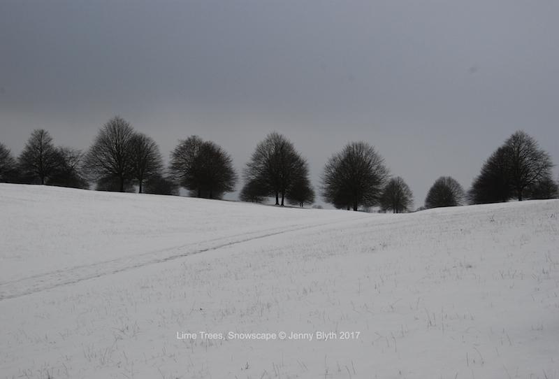 Lime Trees, Snowscape, 2016