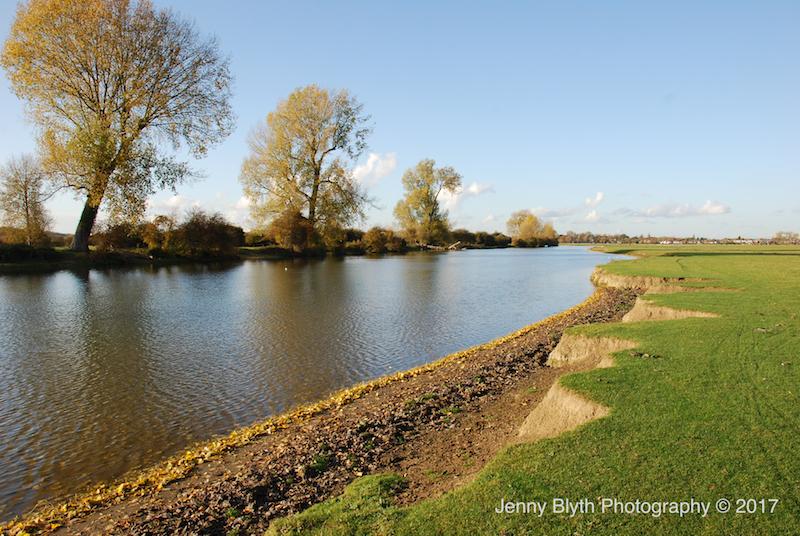 The Golden Thread, 2016