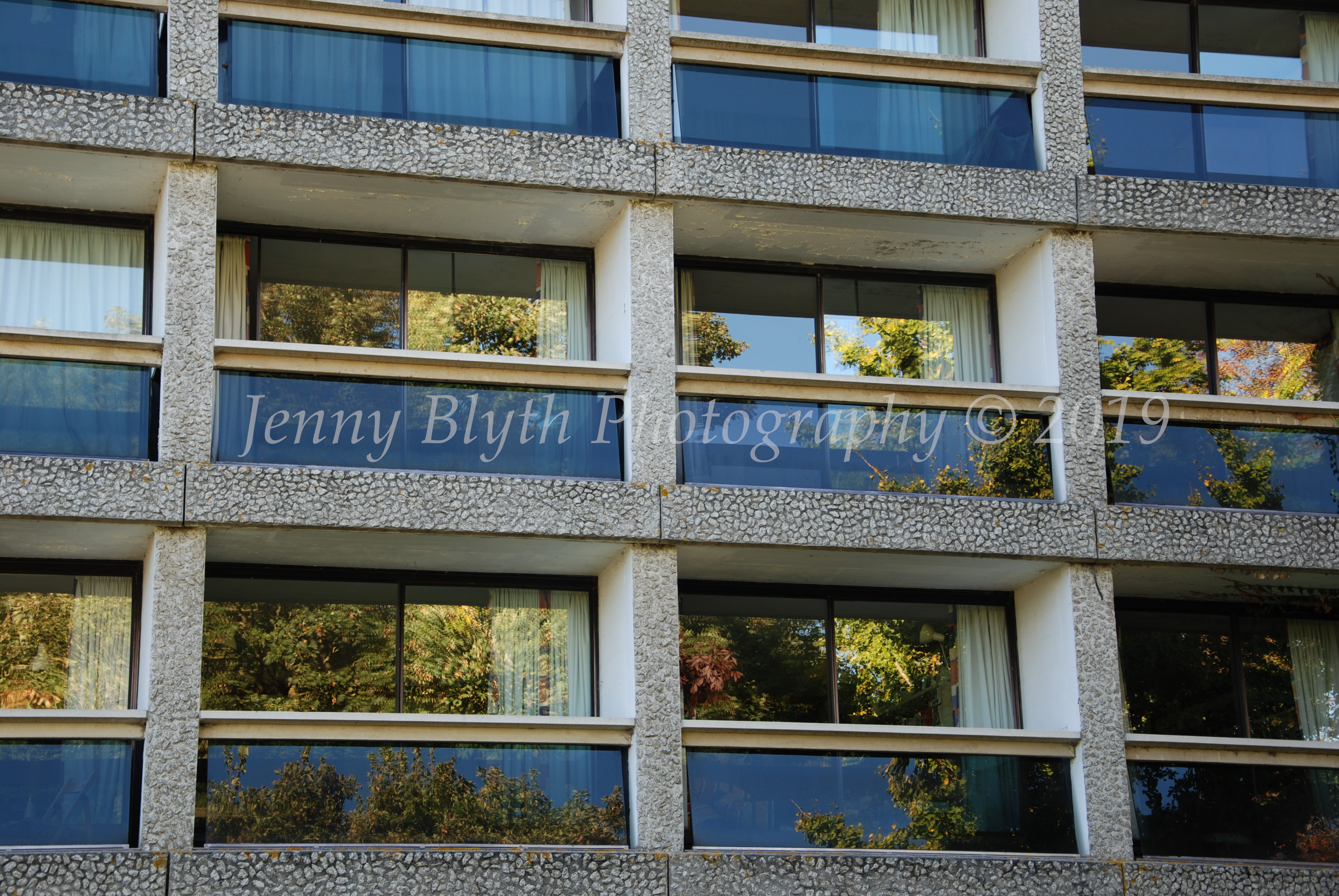 Reflections X : Tree Houses 2018