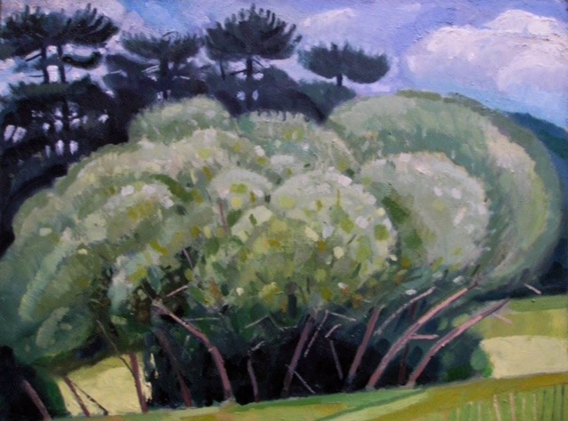 Kennington Water Meadow