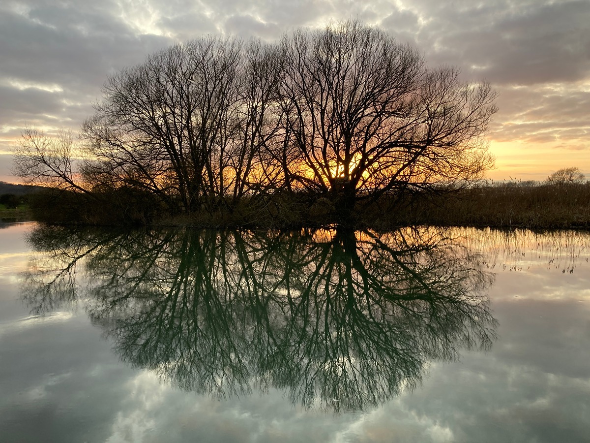 River Clouds & Trees at Sunset