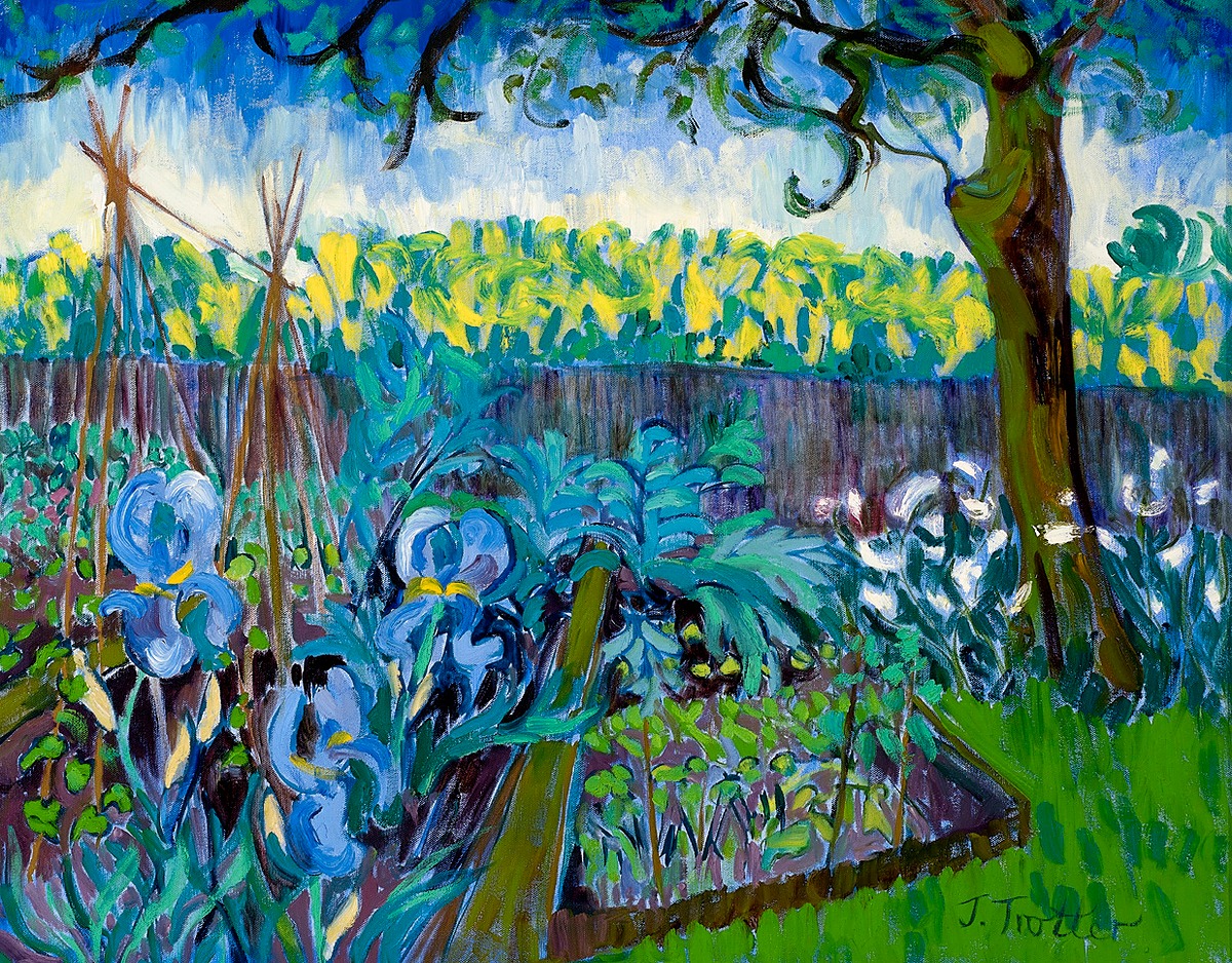 Vegetable Garden with Rape 2016