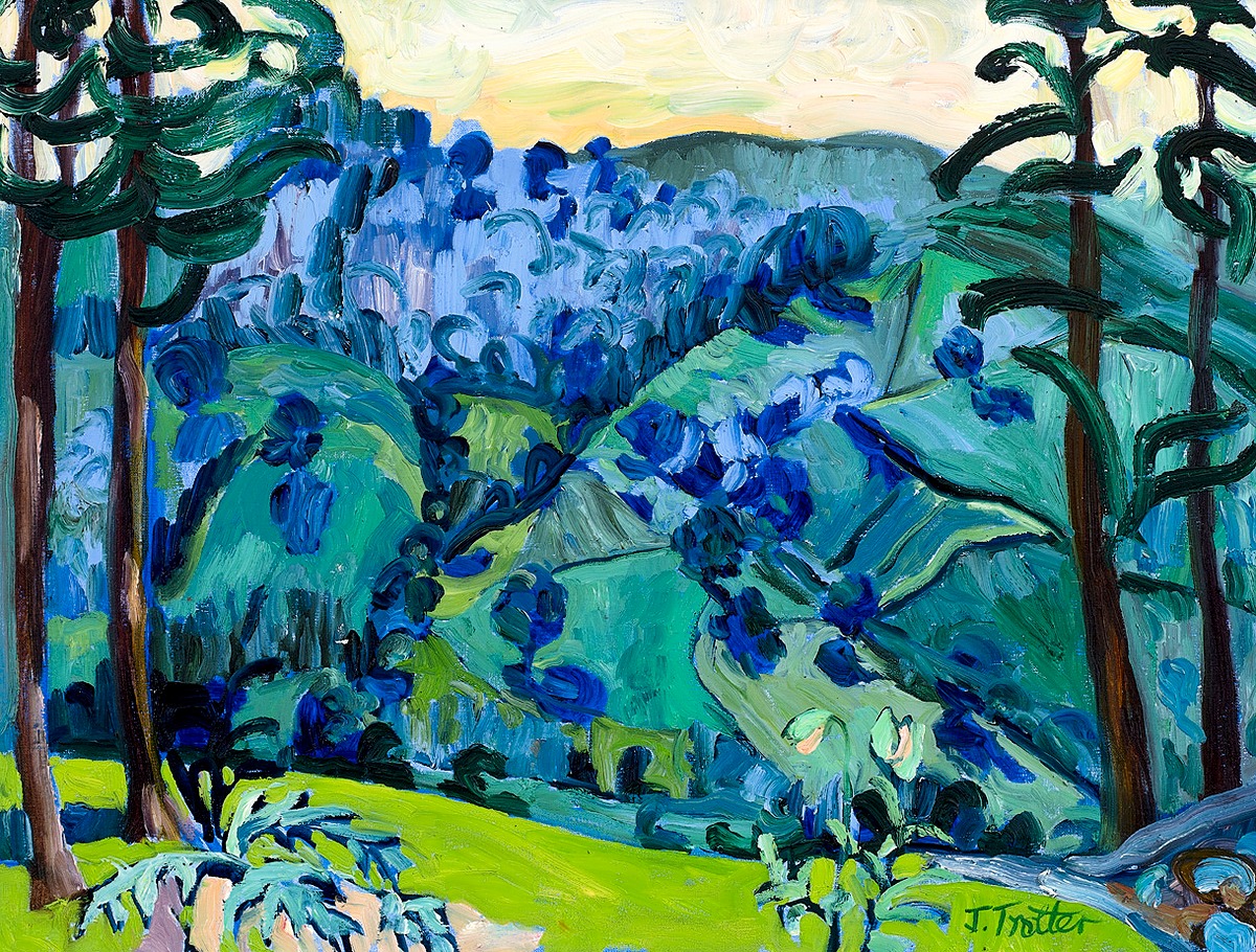 Blue Woods, Penybryn 2017