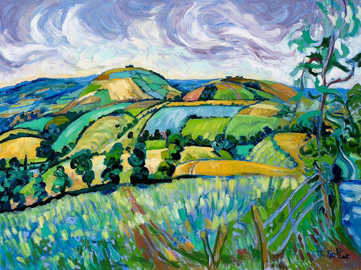 Towards Brailes Hill, Oxfordshire 2016