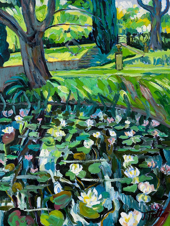 Lily Pond 2017