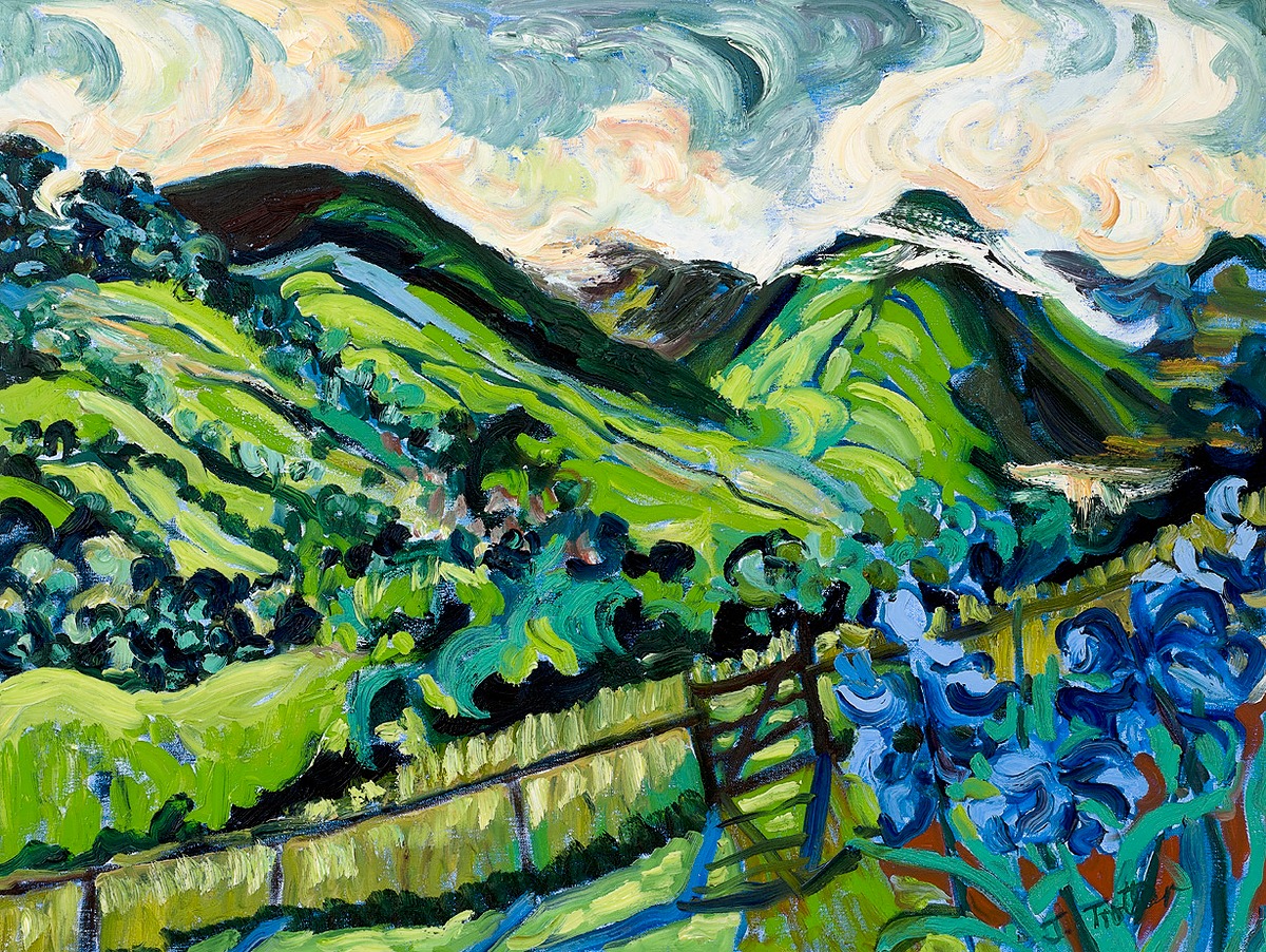 Ty'r Chanter, Brecon Beacons 2017