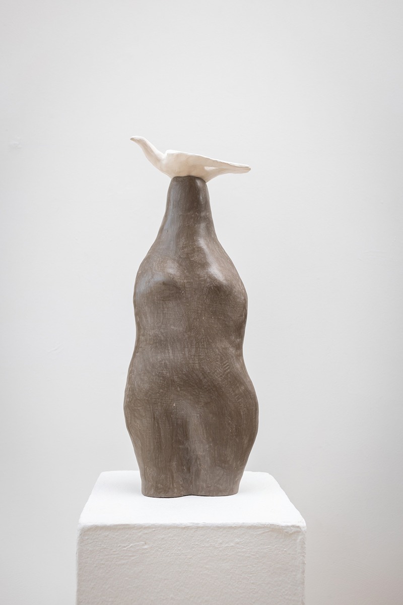 Pitharia with White Dove