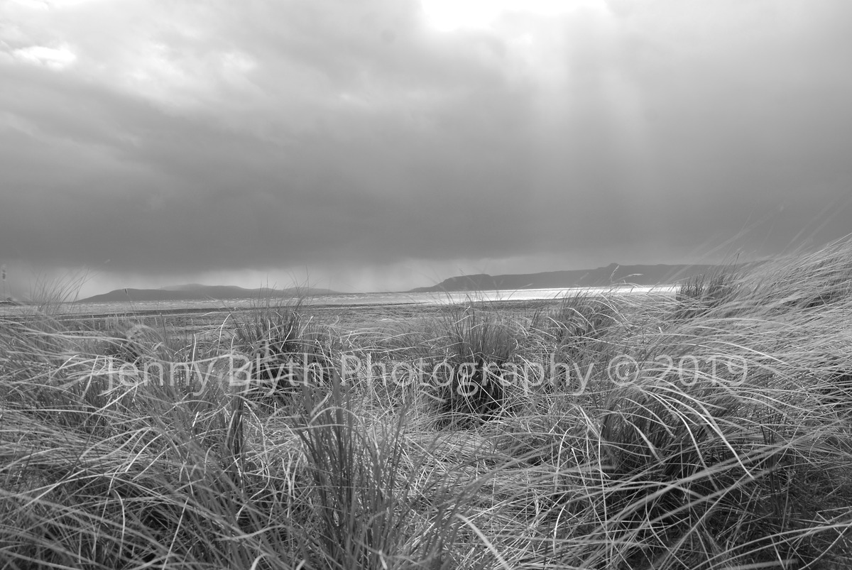 Sea Grasses, Applecross Bay